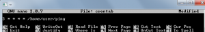 Nano editor